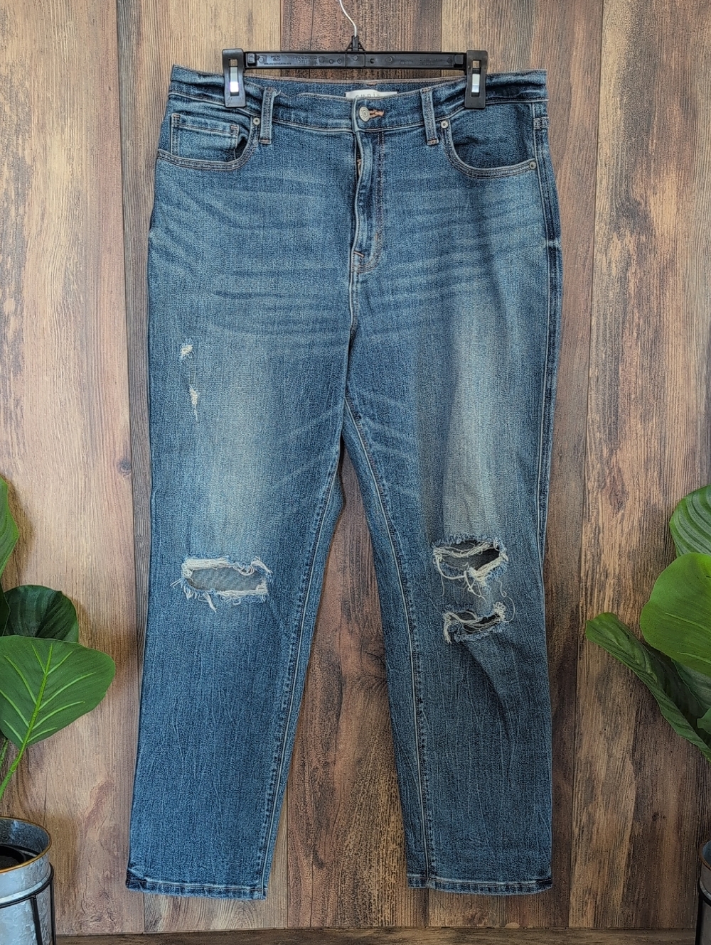 eunina Distressed Boyfriend High Rise Rocky Jeans 15          W285